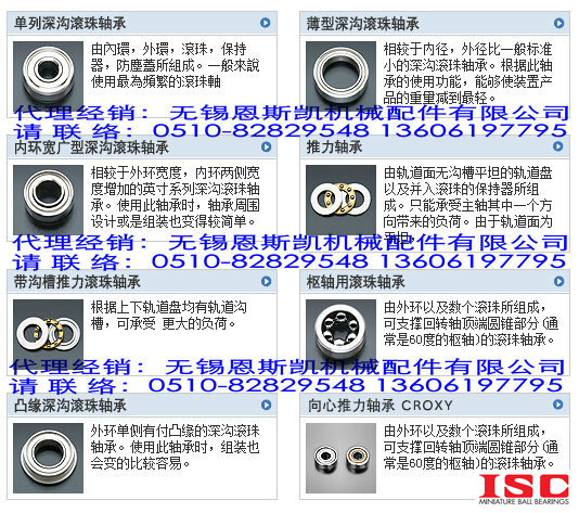 ISC轴承公司ISC轴承产品ISC进口轴承产品ISC特殊轴承产品图片